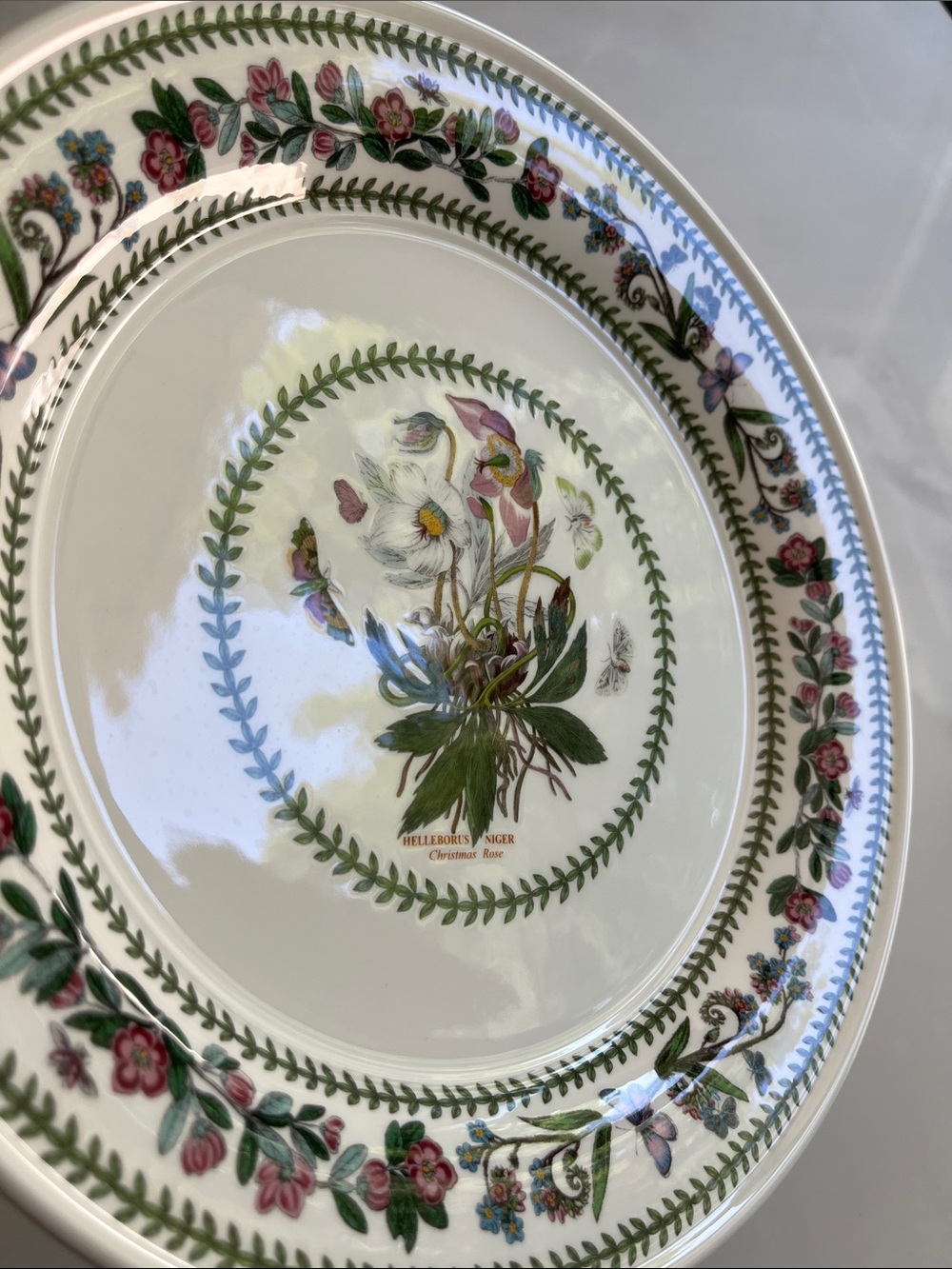Portmeirion Dinner Plate. Botanic Variations 10.5" Christmas Rose. Like New. - Picture 6 of 8